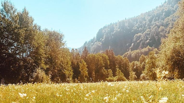 Naturschutz in der Filz in Wörgl
